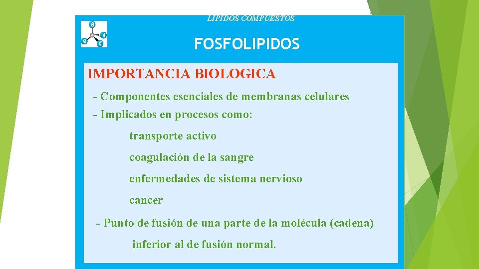 LIPIDOS COMPUESTOS FOSFOLIPIDOS IMPORTANCIA BIOLOGICA - Componentes esenciales de membranas celulares - Implicados en