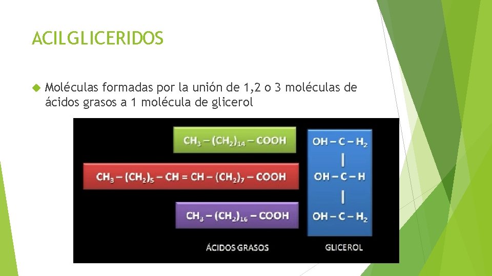 ACILGLICERIDOS Moléculas formadas por la unión de 1, 2 o 3 moléculas de ácidos