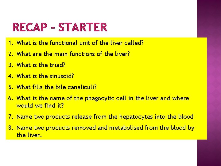 RECAP - STARTER 1. What is the functional unit of the liver called? 2.