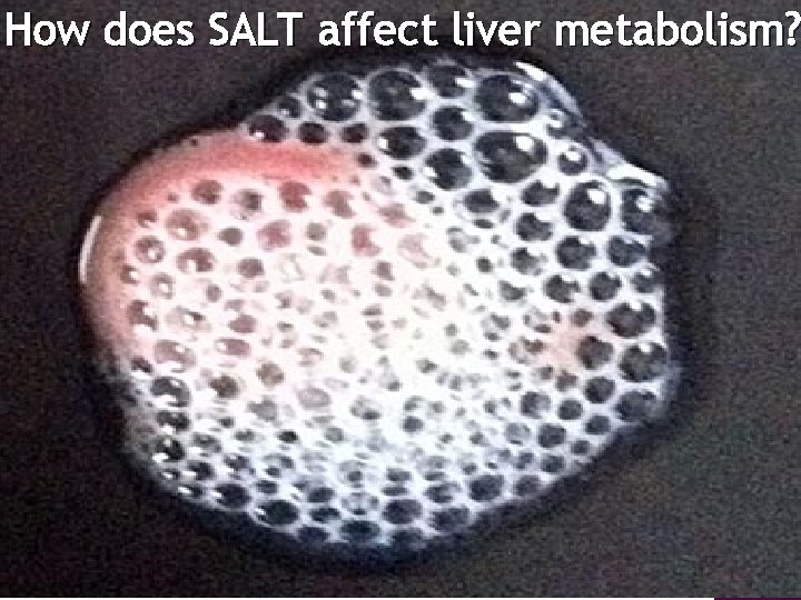 How does SALT affect liver metabolism? 