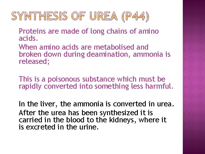Proteins are made of long chains of amino acids. When amino acids are metabolised