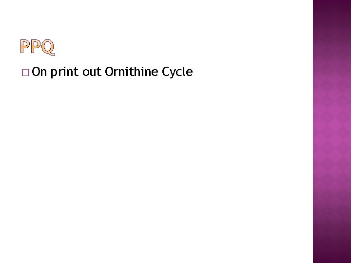 � On print out Ornithine Cycle 