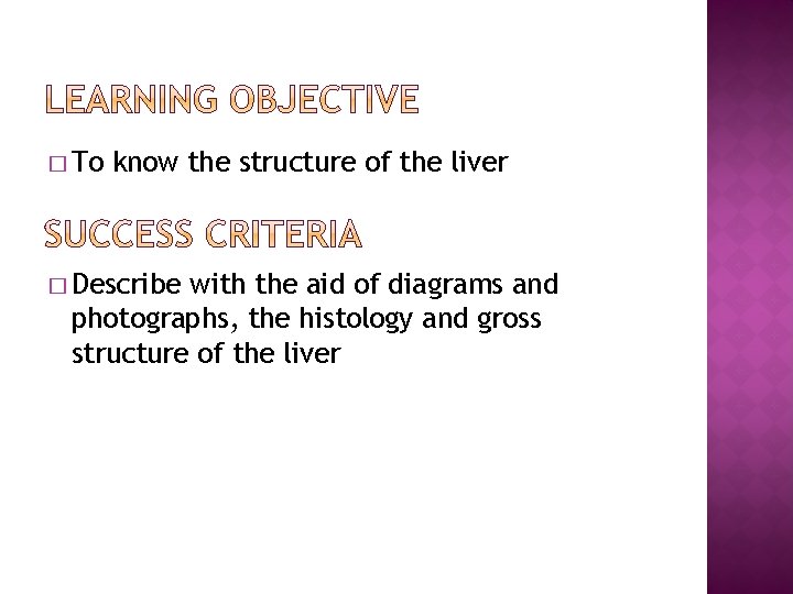� To know the structure of the liver � Describe with the aid of