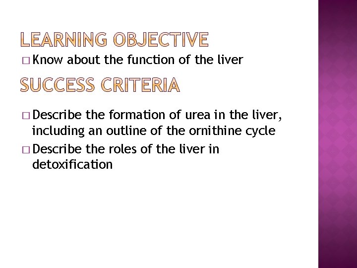 � Know about the function of the liver � Describe the formation of urea