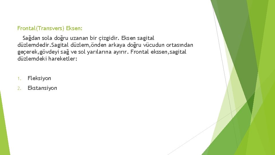 Frontal(Transvers) Eksen: Sağdan sola doğru uzanan bir çizgidir. Eksen sagital düzlemdedir. Sagital düzlem, önden