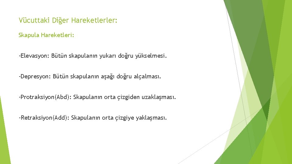 Vücuttaki Diğer Hareketlerler: Skapula Hareketleri: -Elevasyon: Bütün skapulanın yukarı doğru yükselmesi. -Depresyon: Bütün skapulanın