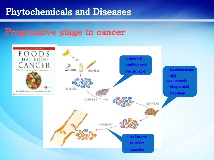 Phytochemicals and Diseases Progressive stage to cancer • vitamin C • caffeic acid •