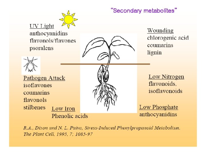 “Secondary metabolites” 