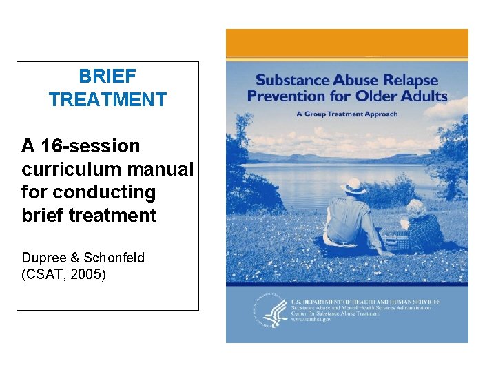 BRIEF TREATMENT A 16 -session curriculum manual for conducting brief treatment Dupree & Schonfeld