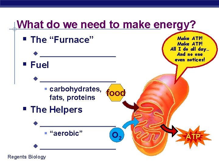 What do we need to make energy? Make ATP! § The “Furnace” Make ATP!