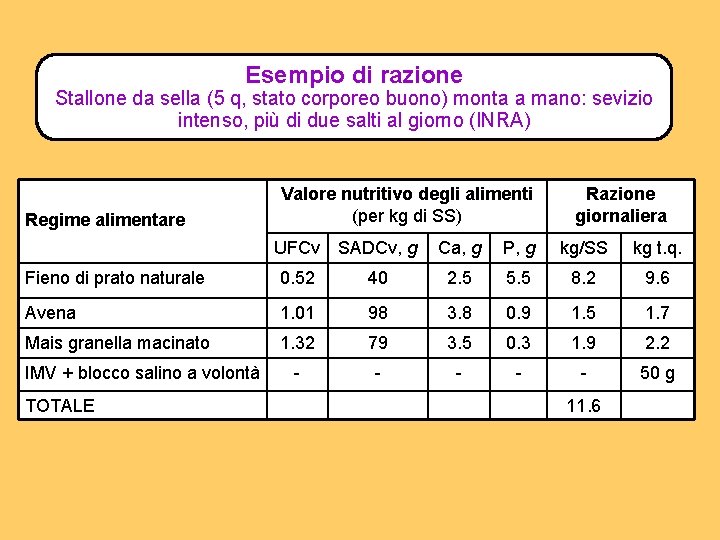 Esempio di razione Stallone da sella (5 q, stato corporeo buono) monta a mano: