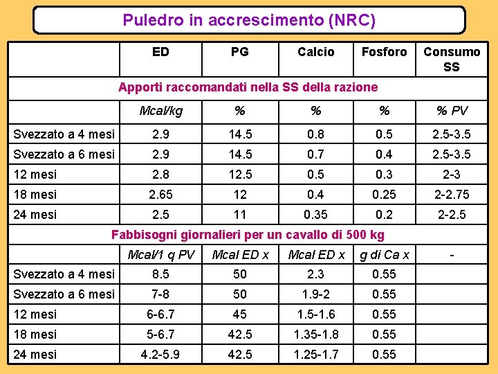 Puledro in accrescimento (NRC) ED PG Calcio Fosforo Consumo SS Apporti raccomandati nella SS