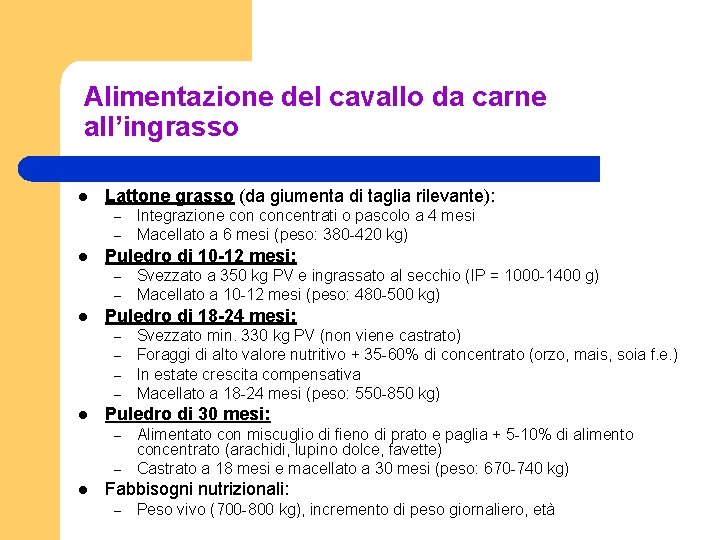 Alimentazione del cavallo da carne all’ingrasso l Lattone grasso (da giumenta di taglia rilevante):