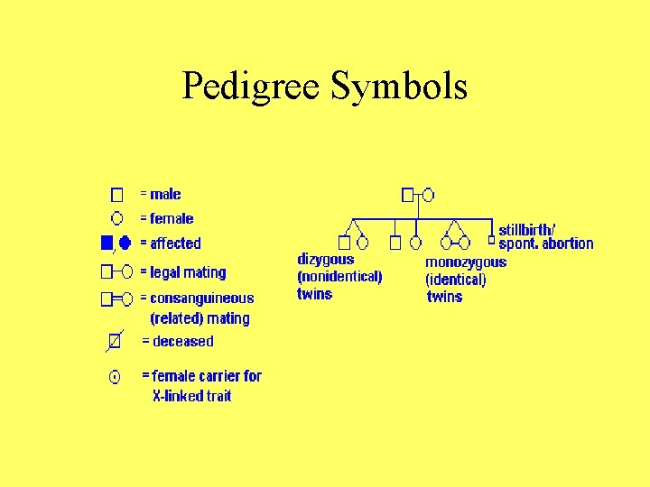 Pedigree Symbols 