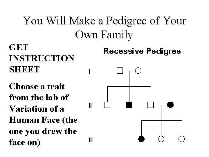 You Will Make a Pedigree of Your Own Family GET INSTRUCTION SHEET Choose a