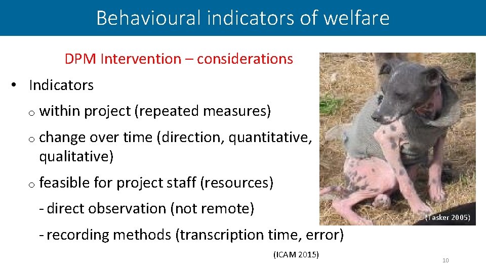 Behavioural indicators of welfare DPM Intervention – considerations • Indicators o within project (repeated