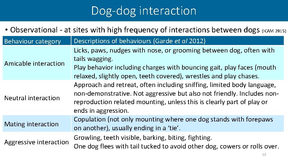 Dog-dog interaction • Observational - at sites with high frequency of interactions between dogs