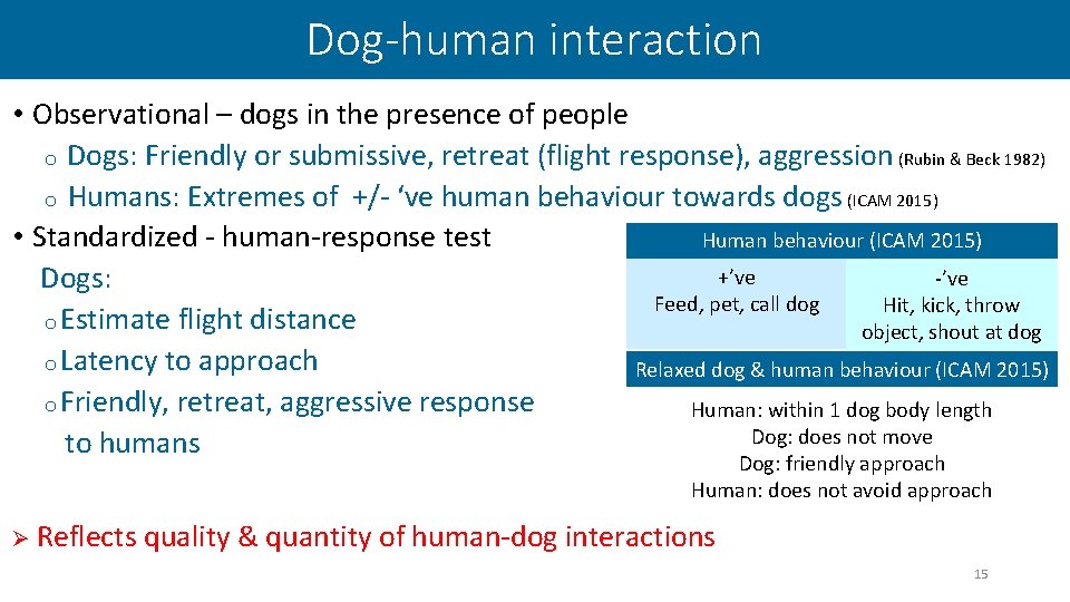 Dog-human interaction • Observational – dogs in the presence of people o Dogs: Friendly