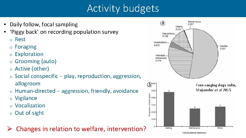 Activity budgets • Daily follow, focal sampling • ‘Piggy back’ on recording population survey