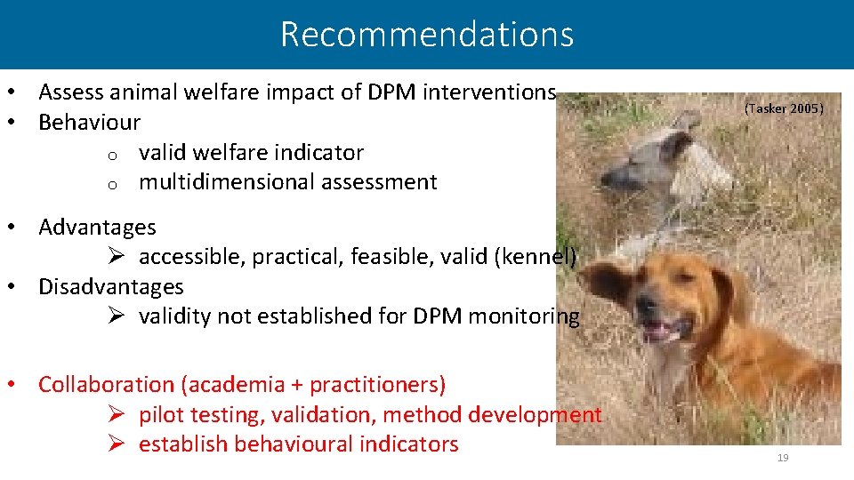 Recommendations • Assess animal welfare impact of DPM interventions • Behaviour o valid welfare