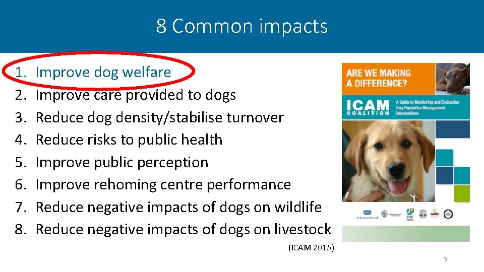 8 Common impacts 1. 2. 3. 4. 5. 6. 7. 8. Improve dog welfare