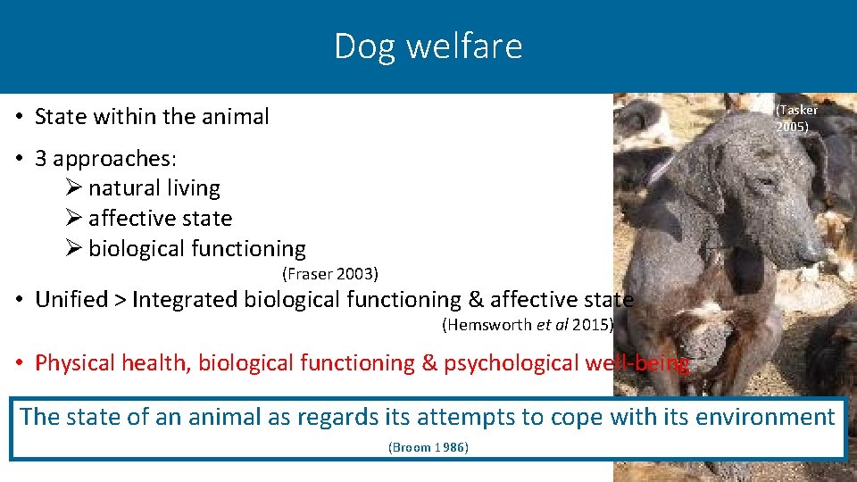 Dog welfare • State within the animal (Tasker 2005) • 3 approaches: Ø natural