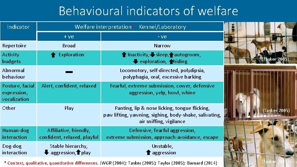 Behavioural indicators of welfare Indicator Repertoire Activity budgets Welfare interpretation* Kennel/Laboratory + ve -