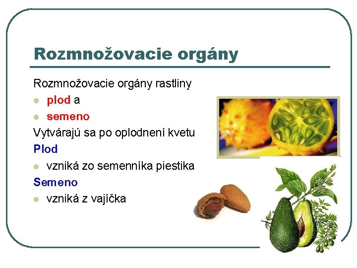 Rozmnožovacie orgány rastliny l plod a plod l semeno Vytvárajú sa po oplodnení kvetu