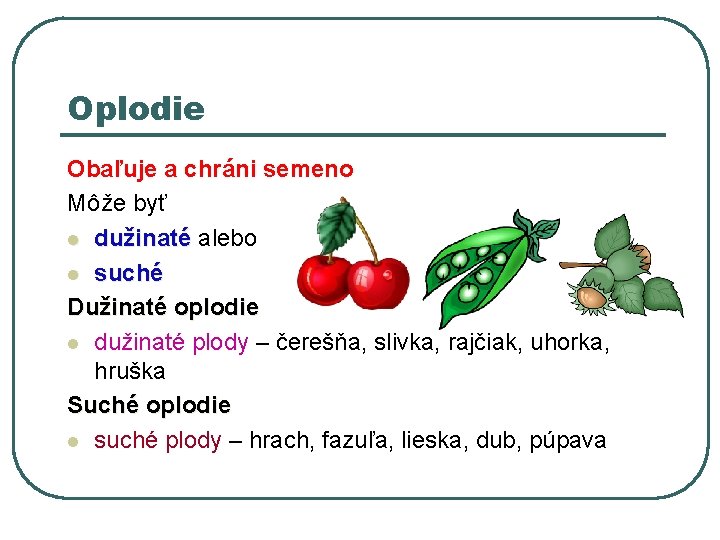 Oplodie Obaľuje a chráni semeno Môže byť l dužinaté alebo dužinaté l suché Dužinaté