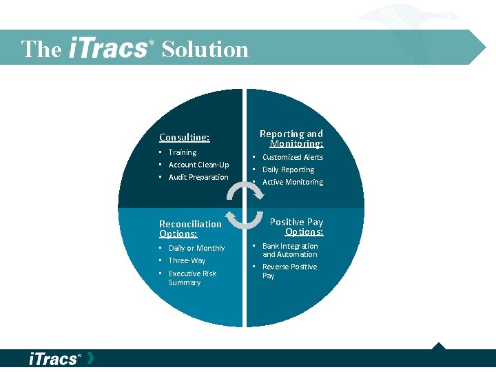 The Solution Consulting: • Training • Account Clean-Up • Audit Preparation Reconciliation Options: •