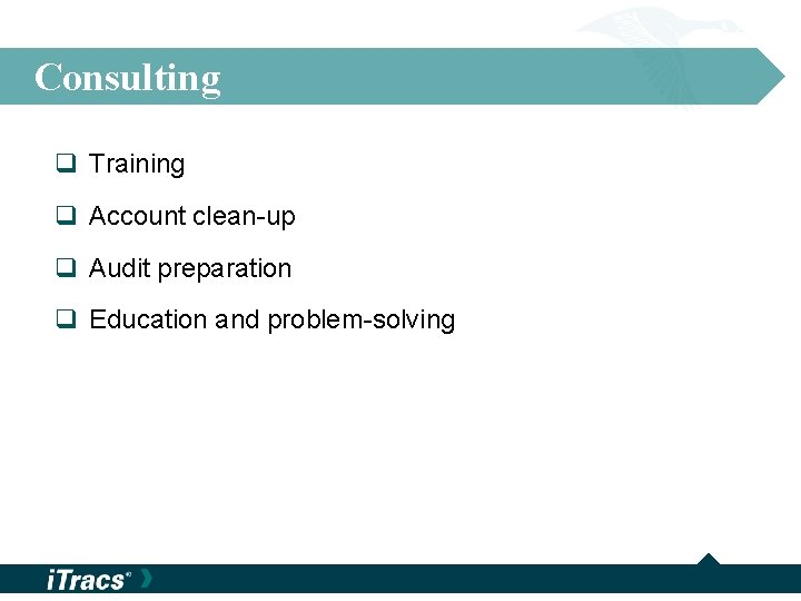 Consulting q Training q Account clean-up q Audit preparation q Education and problem-solving 