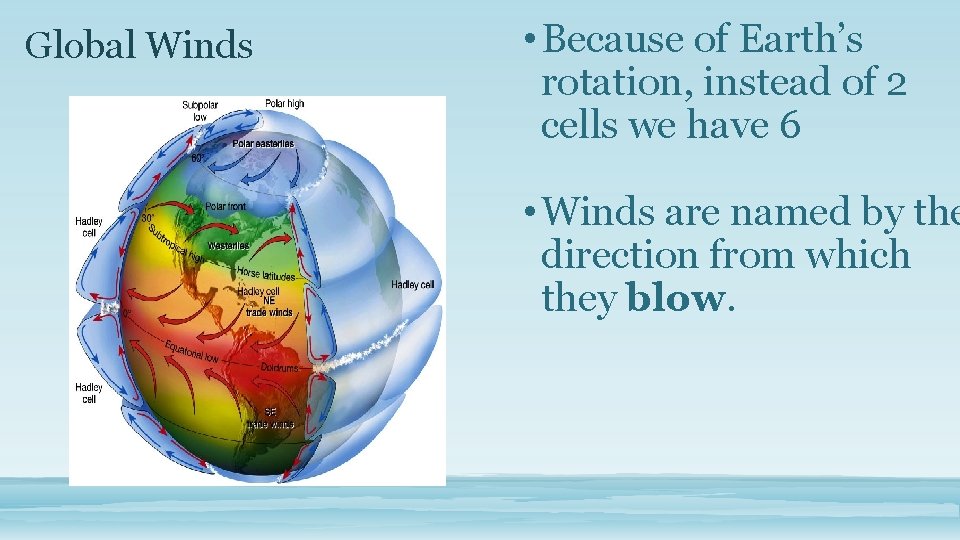 Global Winds • Because of Earth’s rotation, instead of 2 cells we have 6