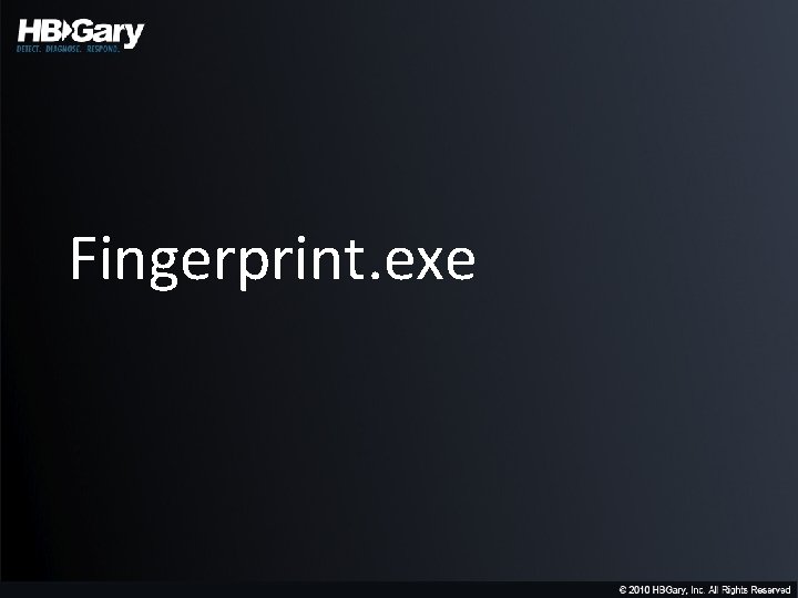 Fingerprint. exe 