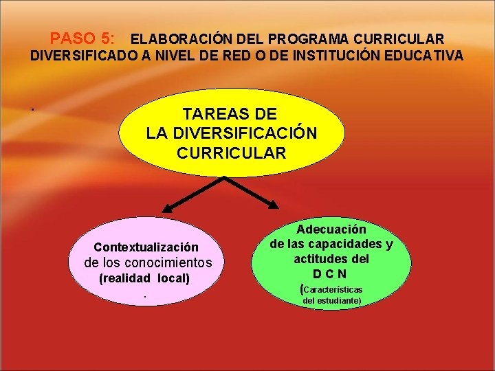 PASO 5: ELABORACIÓN DEL PROGRAMA CURRICULAR DIVERSIFICADO A NIVEL DE RED O DE INSTITUCIÓN