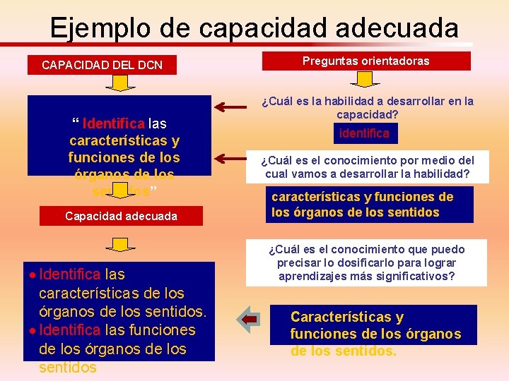 Ejemplo de capacidad adecuada CAPACIDAD DEL DCN “ Identifica las características y funciones de