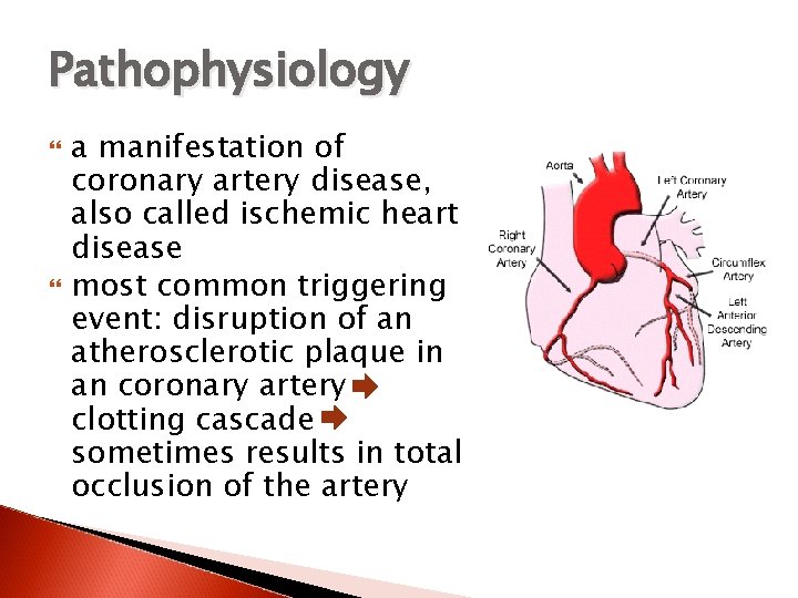 Pathophysiology a manifestation of coronary artery disease, also called ischemic heart disease most common