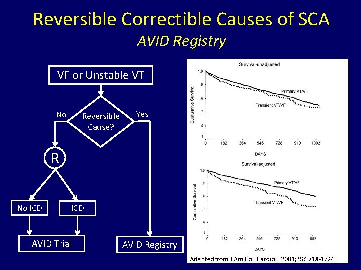 Reversible Correctible Causes of SCA AVID Registry VF or Unstable VT No Reversible Cause?