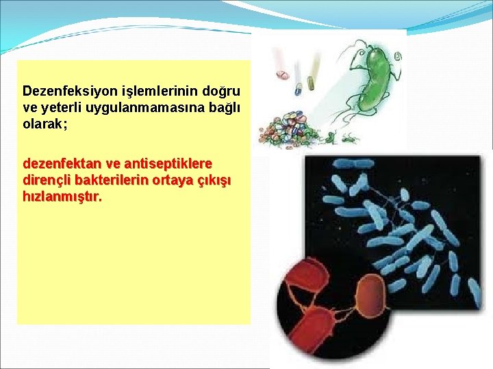 Dezenfeksiyon işlemlerinin doğru ve yeterli uygulanmamasına bağlı olarak; dezenfektan ve antiseptiklere dirençli bakterilerin ortaya