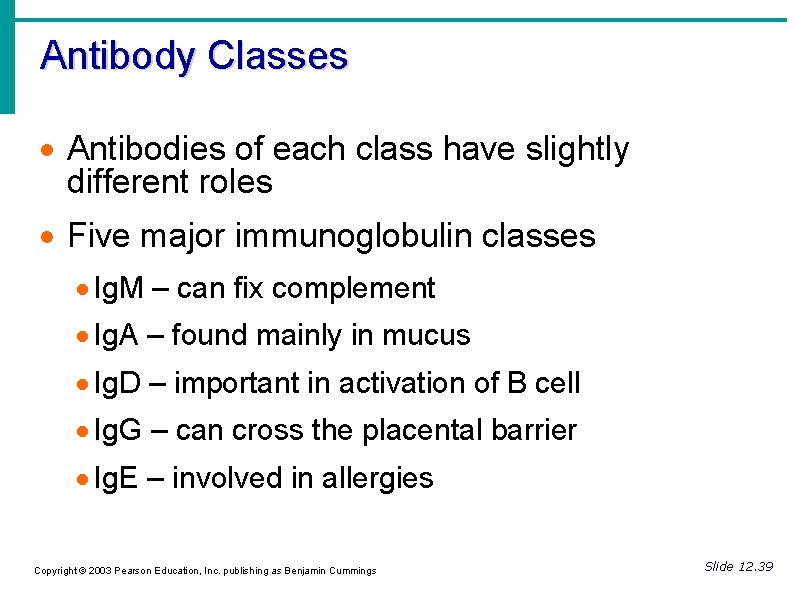 Each Class Of Antibody Is Differentiated By The Antibodies Immunoglobulins Igs Soluble proteins secreted by B