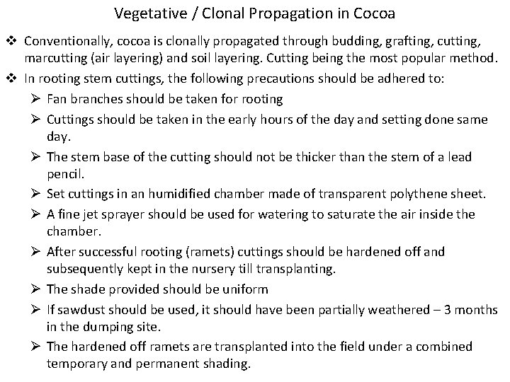 Vegetative / Clonal Propagation in Cocoa v Conventionally, cocoa is clonally propagated through budding,