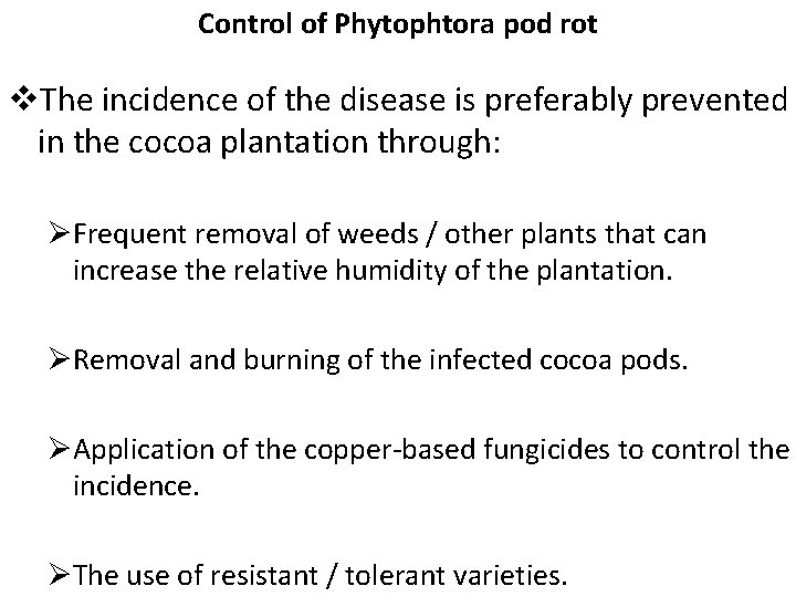 Control of Phytophtora pod rot v. The incidence of the disease is preferably prevented