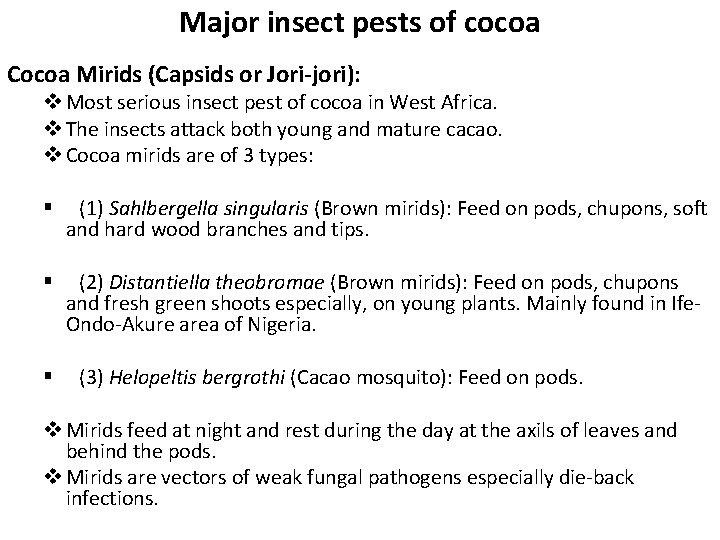 Major insect pests of cocoa Cocoa Mirids (Capsids or Jori-jori): v Most serious insect