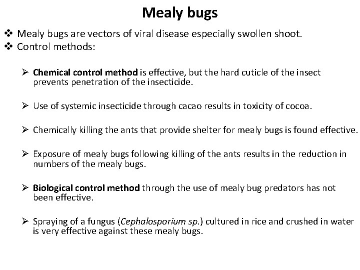 Mealy bugs v Mealy bugs are vectors of viral disease especially swollen shoot. v