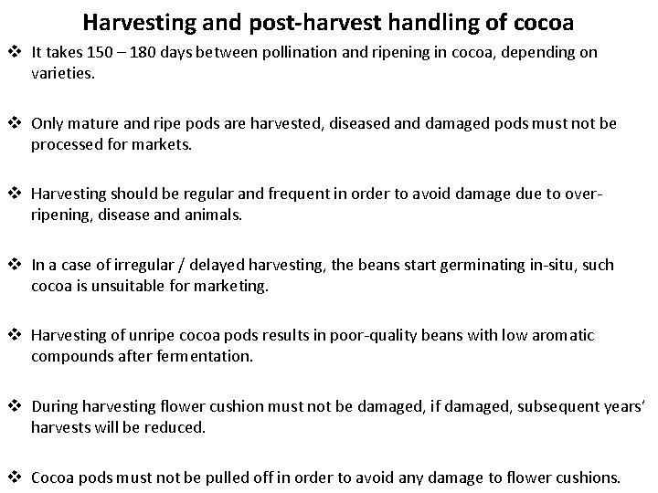 Harvesting and post-harvest handling of cocoa v It takes 150 – 180 days between