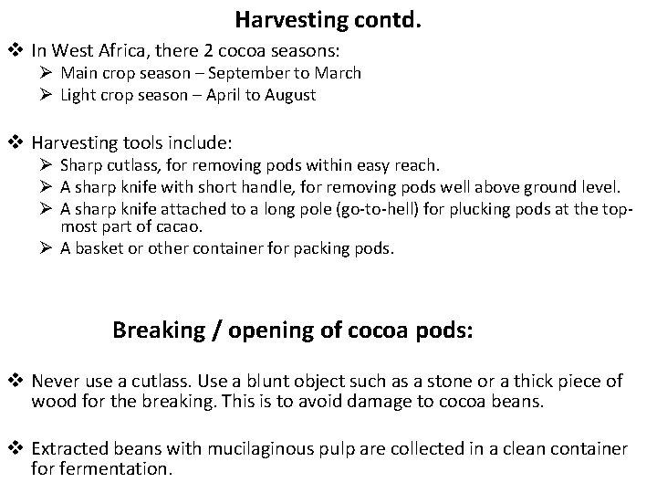 Harvesting contd. v In West Africa, there 2 cocoa seasons: Ø Main crop season