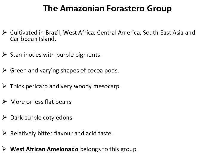 The Amazonian Forastero Group Ø Cultivated in Brazil, West Africa, Central America, South East