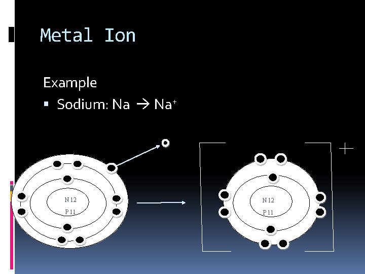 Metal Ion Example Sodium: Na Na+ N 12 P 11 