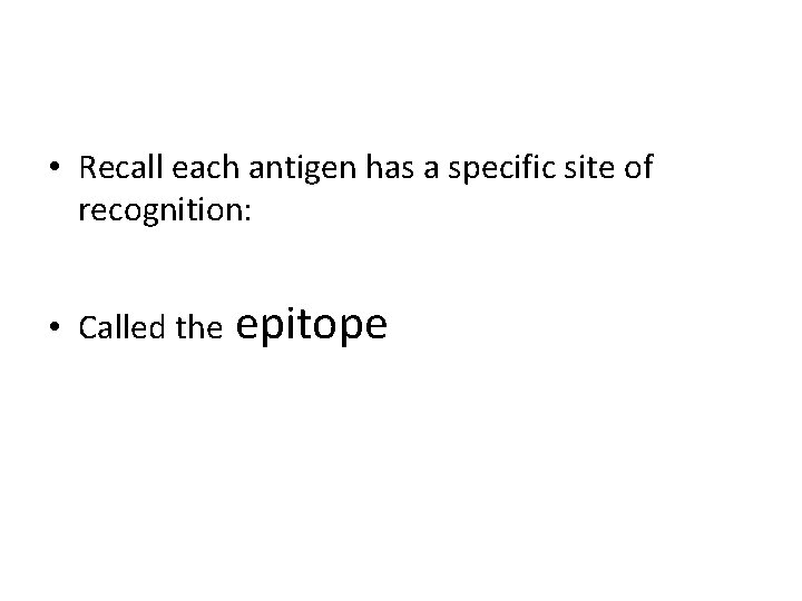  • Recall each antigen has a specific site of recognition: • Called the