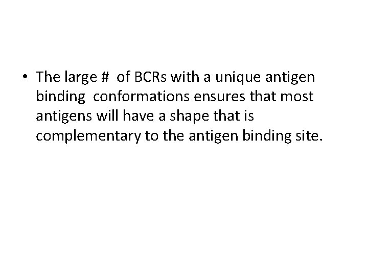  • The large # of BCRs with a unique antigen binding conformations ensures