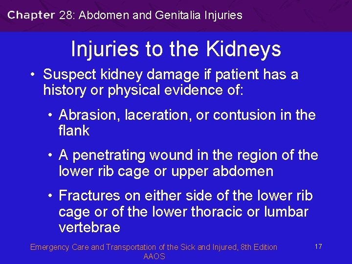 28: Abdomen and Genitalia Injuries to the Kidneys • Suspect kidney damage if patient